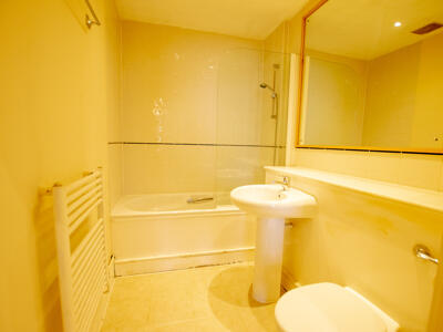 Picture 10